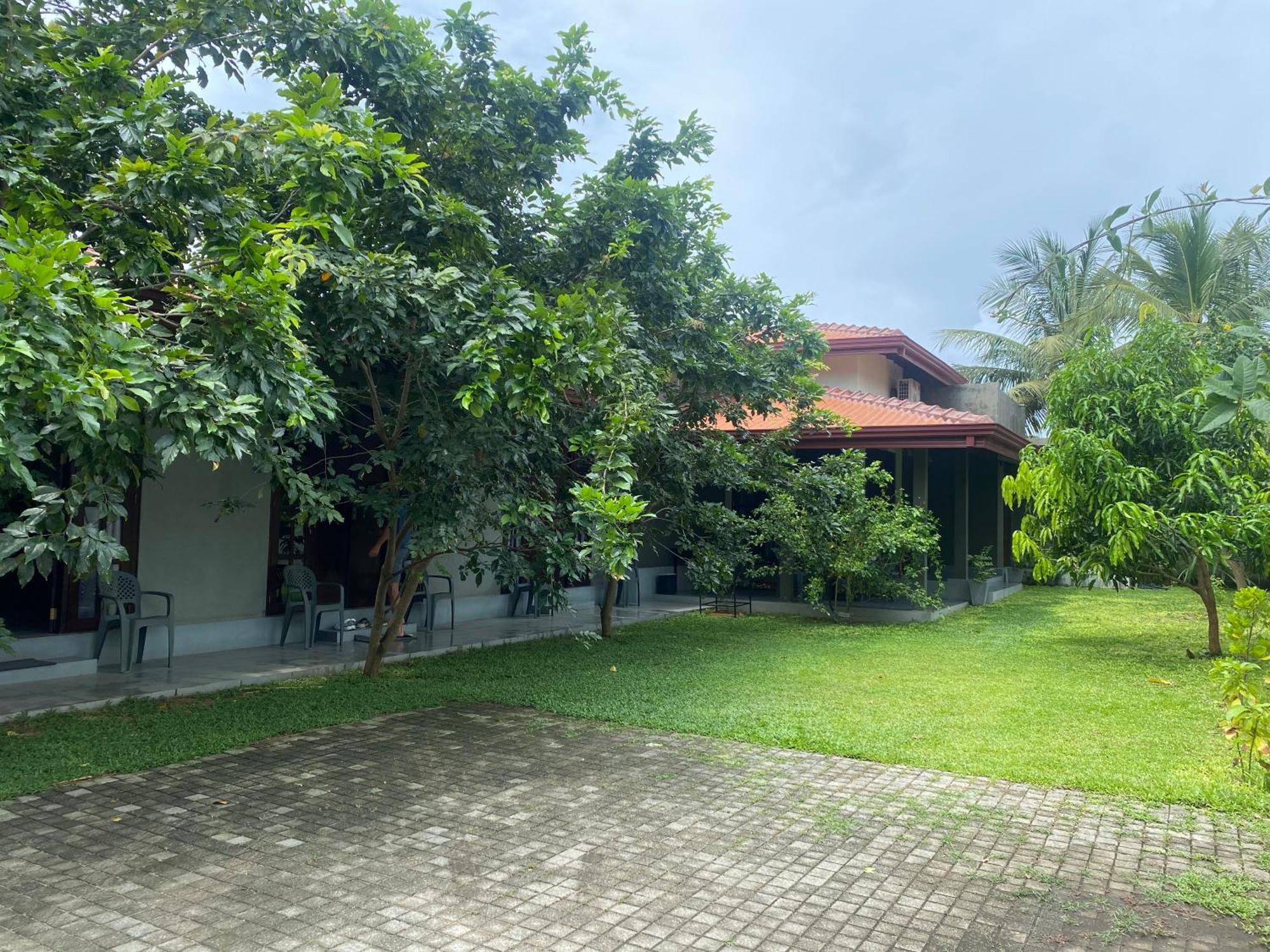 Negombo 146 Homestay Dış mekan fotoğraf