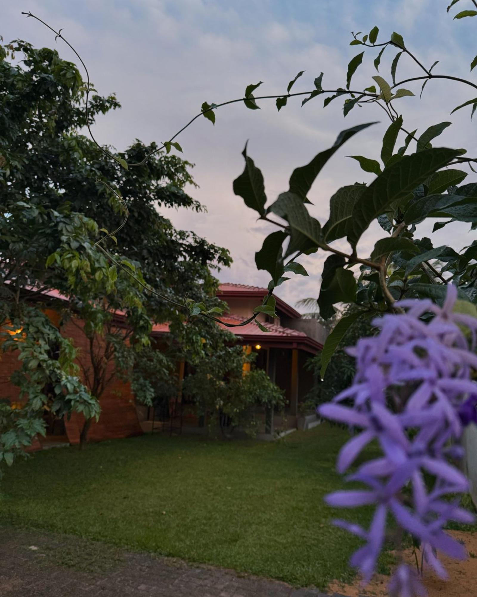 Negombo 146 Homestay Dış mekan fotoğraf